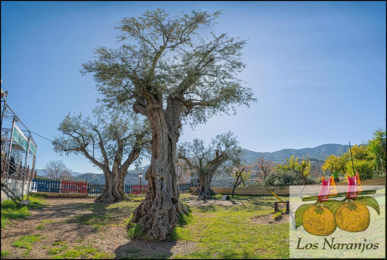 Hostal Y Apartamento Rural Los Naranjos Melegis エクステリア 写真