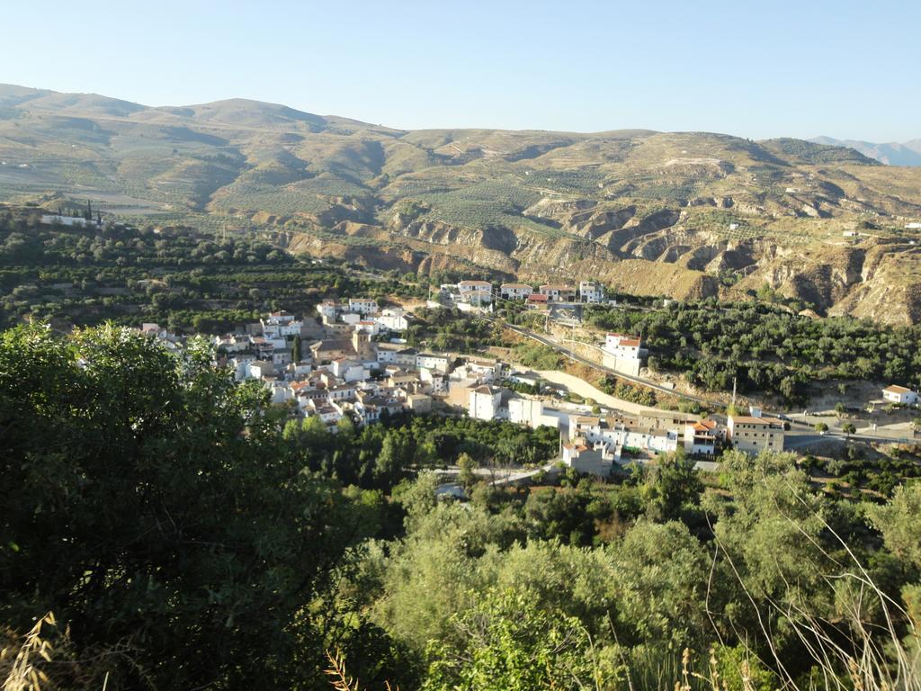 Hostal Y Apartamento Rural Los Naranjos Melegis 部屋 写真