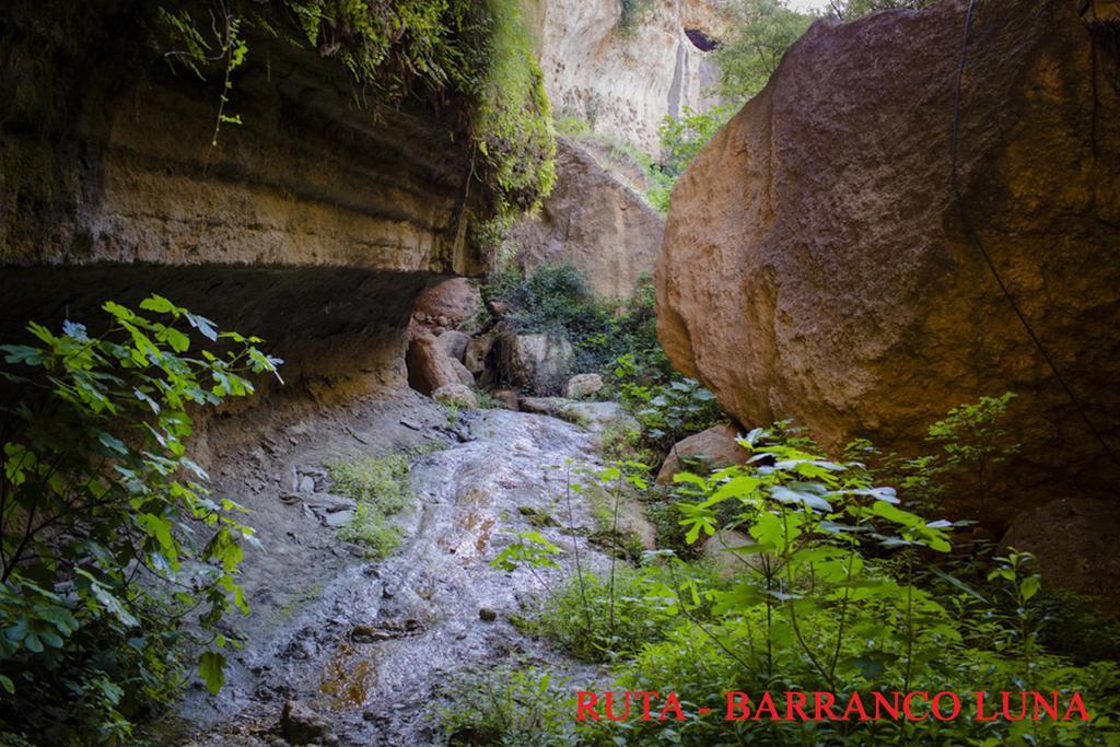 Hostal Y Apartamento Rural Los Naranjos Melegis エクステリア 写真