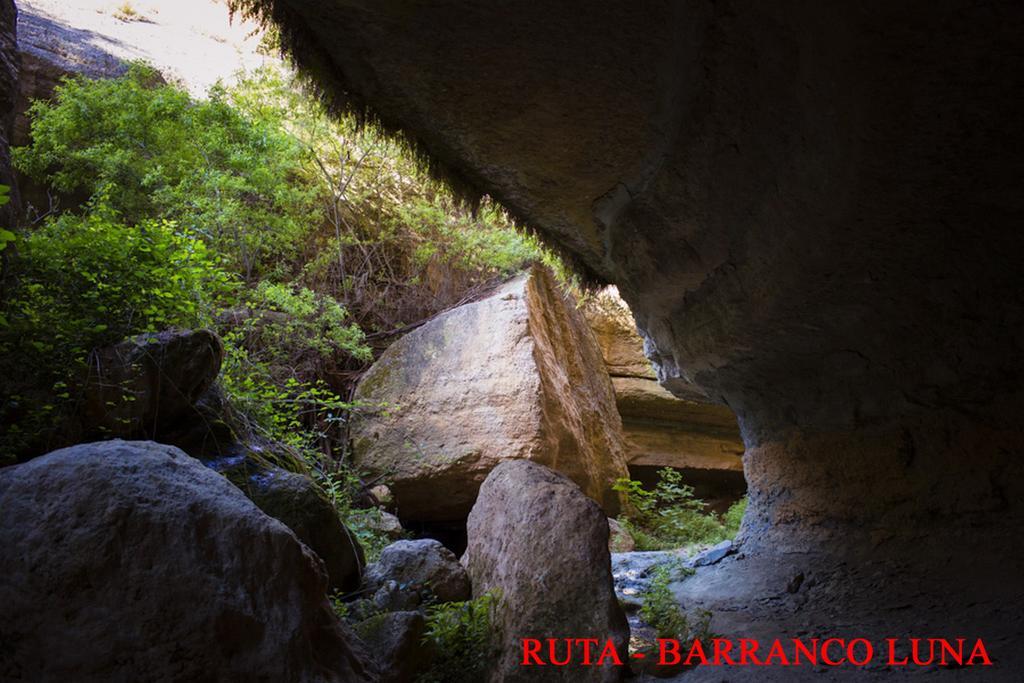 Hostal Y Apartamento Rural Los Naranjos Melegis エクステリア 写真