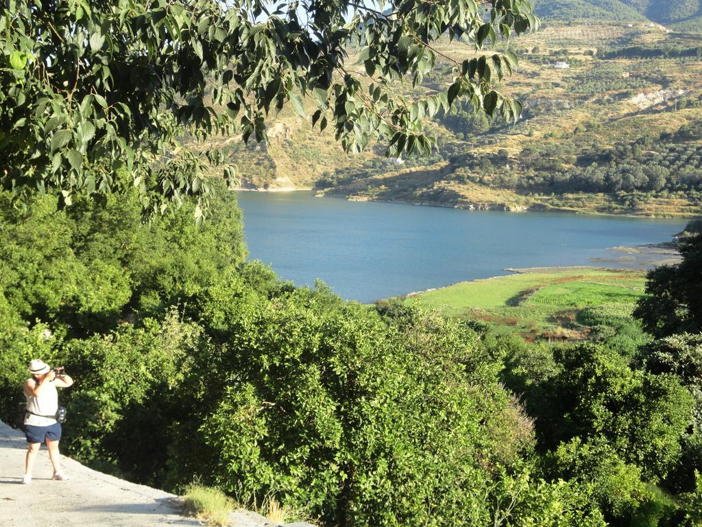 Hostal Y Apartamento Rural Los Naranjos Melegis エクステリア 写真