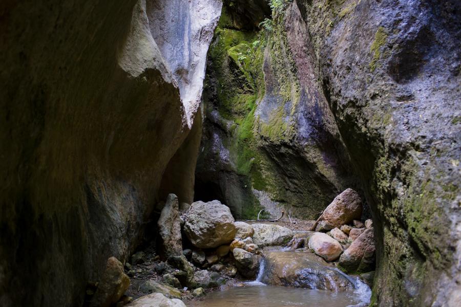 Hostal Y Apartamento Rural Los Naranjos Melegis エクステリア 写真