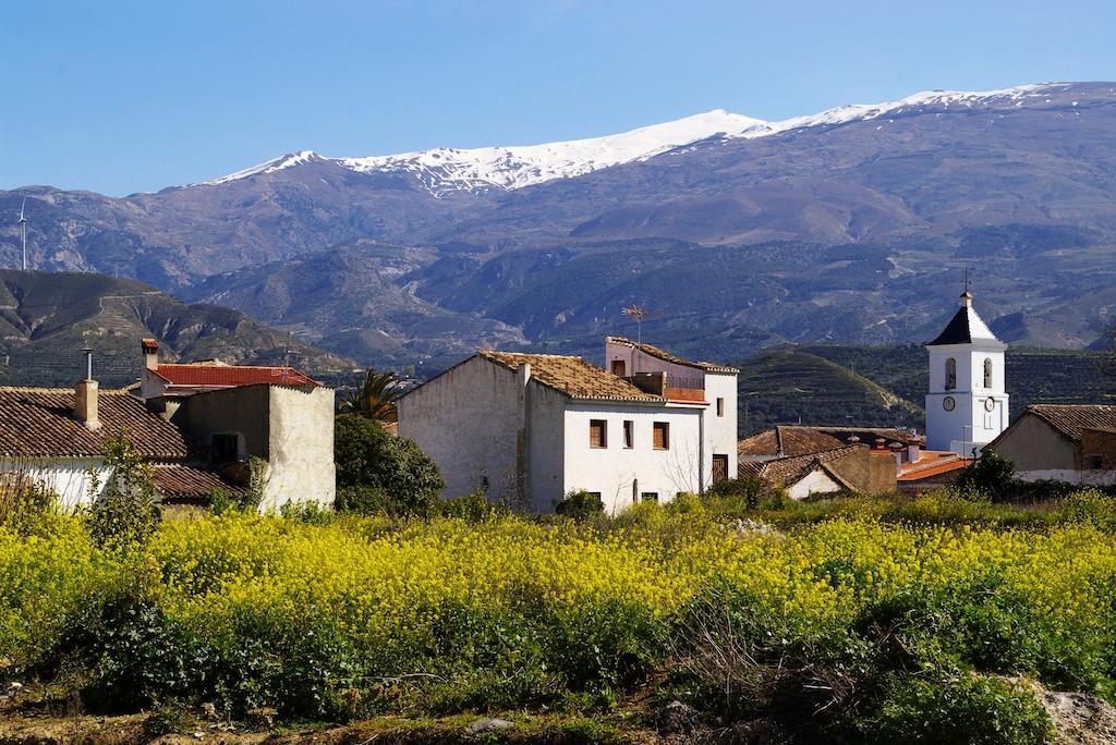 Hostal Y Apartamento Rural Los Naranjos Melegis エクステリア 写真