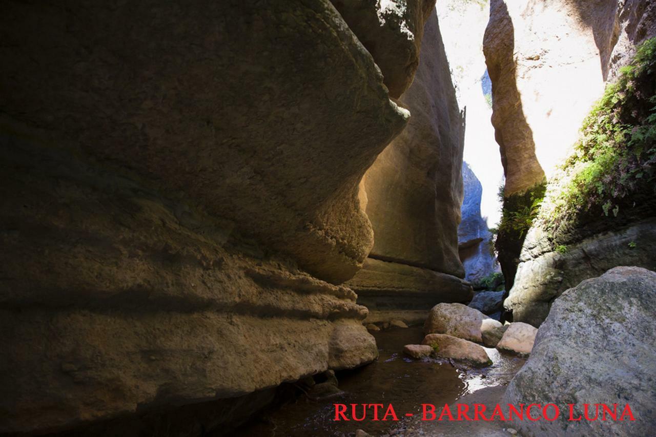Hostal Y Apartamento Rural Los Naranjos Melegis 部屋 写真